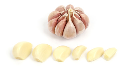 garlic head and cloves on white background