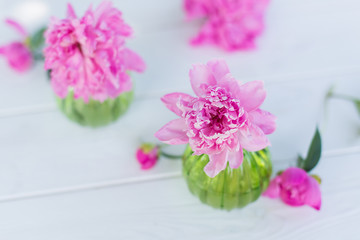 Beautiful soft pink peonies in vase on white wooden background outdoors. Summer flowers in blossom. Nature, fresh pink flowers concept