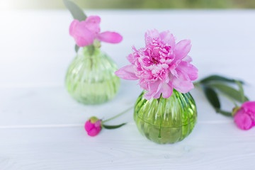 Beautiful soft pink peonies in vase on white wooden background outdoors. Summer flowers in blossom. Nature, fresh pink flowers concept