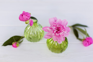 Beautiful soft pink peonies in vase on white wooden background outdoors. Summer flowers in blossom. Nature, fresh pink flowers concept
