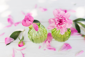 Fototapeta na wymiar Beautiful soft pink peonies in vase on white wooden background outdoors. Summer flowers in blossom. Nature, fresh pink flowers concept