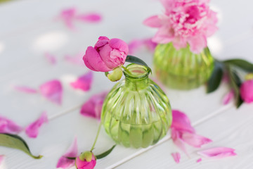 Beautiful soft pink peonies in vase on white wooden background outdoors. Summer flowers in blossom. Nature, fresh pink flowers concept
