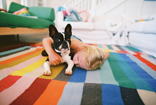 boy with black and white frenchie dog on color rug