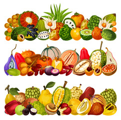Exotic tropical fruits, farm agriculture harvest