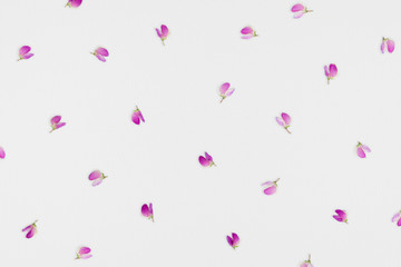 Violet flowers on a white canvas background. Floral pattern.