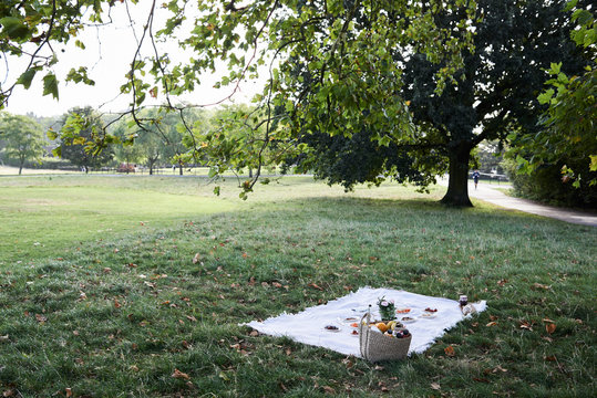 Festive picnic blanket with food at park.