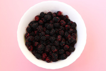 Blackberries in a white bowl on a pink background, top view