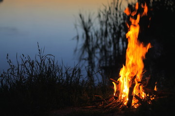 campfire on the lake,romantic summer background,ecotourism