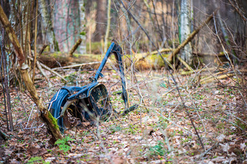 illegal dumpster in the woods forest in summer