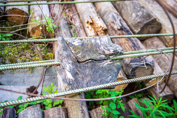 illegal dumpster in the woods forest in summer