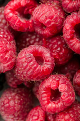 Fresh and sweet raspberries background