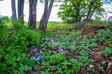 illegal dumpster in the woods forest in summer
