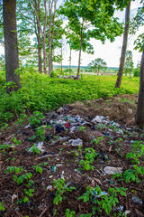 Obraz premium illegal dumpster in the woods forest in summer