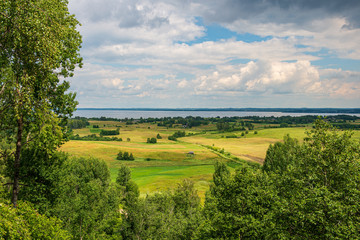 Obraz premium summer sun lit green forest park for relaxsation