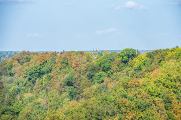 summer sun lit green forest park for relaxsation