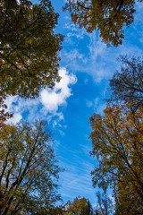 blue sky with white clouds over countryside landscape