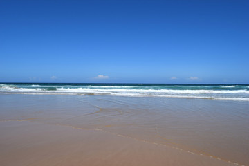  An Amazing Alexandria Bay Noosa National Park