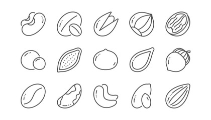 Fototapeta na wymiar Nuts and seeds line icons. Hazelnut, Almond nut and Peanut. Walnut, Brazil nut, Pistachio icons. Cacao and Cashew nuts. Linear set. Vector