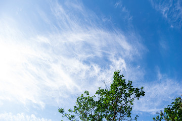Fototapeta premium blue sky with white clouds over countryside landscape