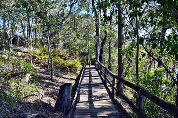 Forest Way at Noosa Heads National Park