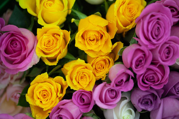 Close up view of beautiful flowers mix in the box. Unpacking and deliver roses. Small business. Floral carpet for Wallpaper.