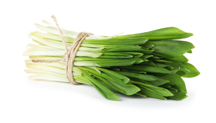 Bunch of wild garlic or ramson isolated on white