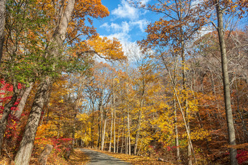 Sleepy Hollow Autum - New York State
