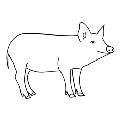 Contour pig in doodle style.