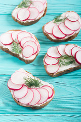 Healthy vegetable toasts sandwith with radish and dill