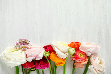 Beautiful ranunculus flowers and space for text on wooden background, flat lay