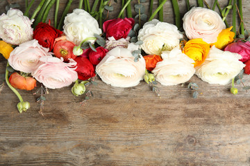 Beautiful ranunculus flowers and space for text on wooden background, flat lay