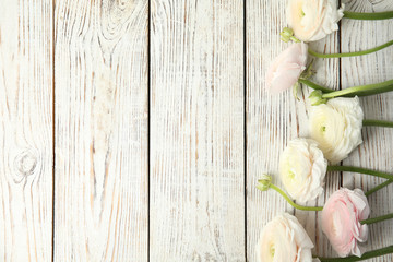 Beautiful ranunculus flowers and space for text on wooden background, flat lay