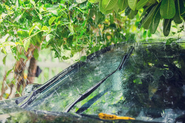 black car under the tree with rain drop water.