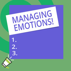Conceptual hand writing showing Managing Emotions. Concept meaning ability be open to feelings and modulate them in oneself Big Square rectangle stick above small megaphone left down corner