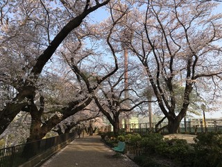 公園