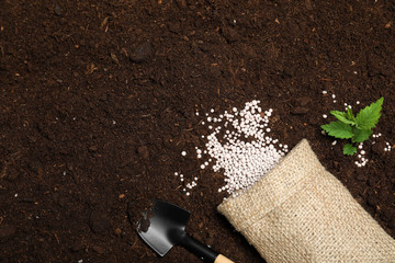Flat lay composition with plant, fertilizer and shovel on soil, space for text. Gardening time