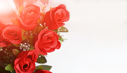 banner flowers red roses on a white background