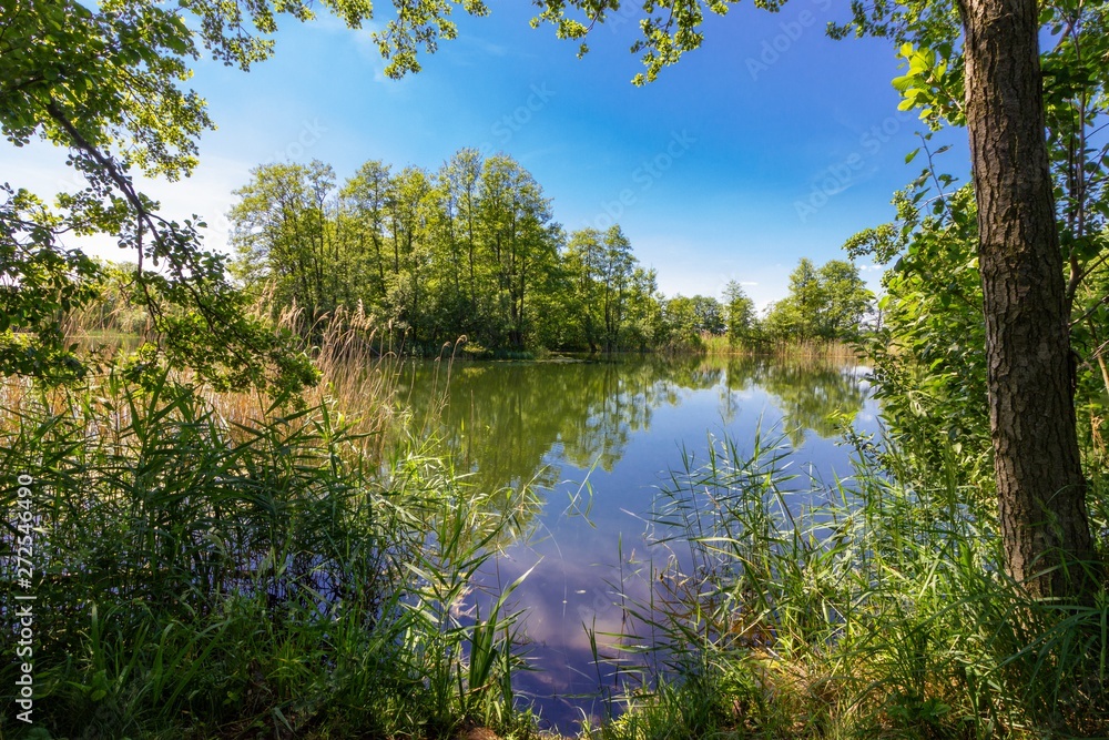 Sticker view on the lake during summer day