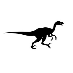 Vector flat black silhouette of velociraptor dinosaur isolated on white background