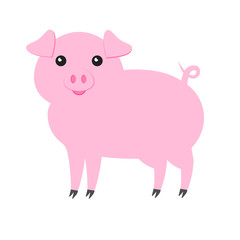 Vector flat cartoon pink pig isolated on white background