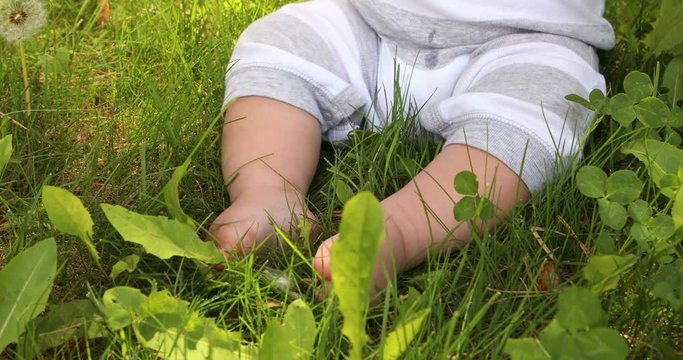 Close-up of a toddler baby sitting on the green grass in a summer park. Close-up of legs of a newborn baby on the green grass.