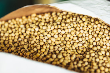 Grains de soja dans un panier
