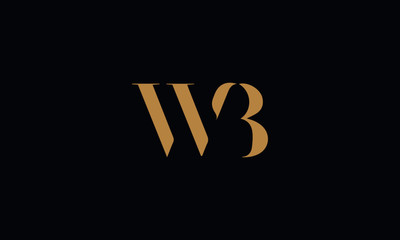 WB logo design template vector illustration