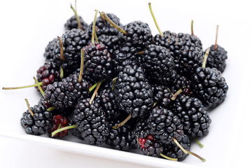 マルベリー　桑の実