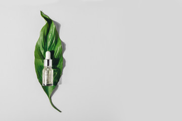 Bottle with natural serum with vitamins on background. Cosmetic procedures for the face