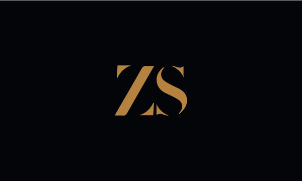 ZS logo design template vector illustration