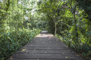 Obraz premium Tło z symbolem roweru wykonane z drewna, a ludzie szybko przyjeżdżają ćwiczyć, rozmywać się, wypoczywać w czasie wakacji.