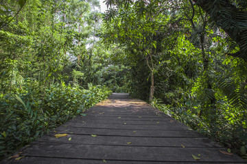 Bang Kachao:May26,2019,atmosphere in park near Bangkok,with people visiting nature,cycling, couples,families with young children,friends group to relax during the holiday,area Bang Nam Phueng,Thailand