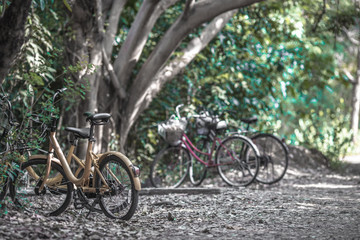 Fototapeta premium Blurred background of people who are cycling fast, exercising in the park in the morning - evening, the atmosphere is surrounded by nature.