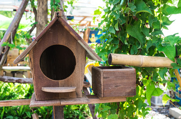 Old wooden birdhouse or the bird's nest in the park with nature background